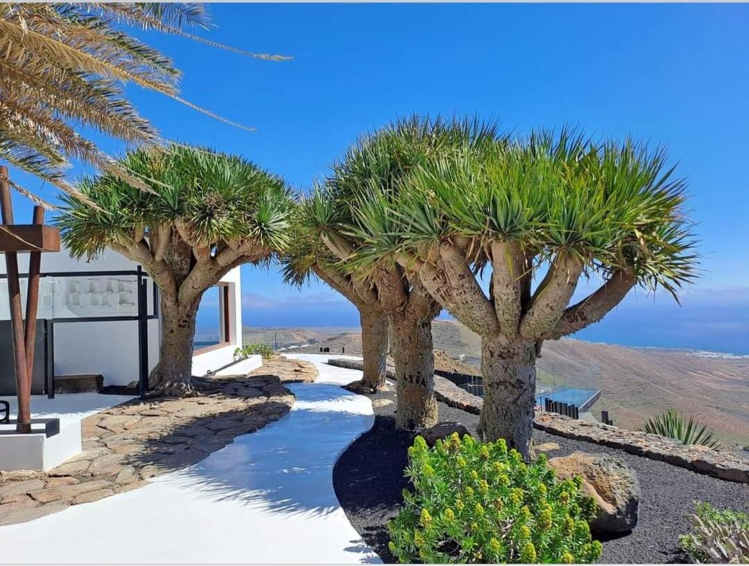 Casa La Tunera, Country House, Haria, Lanzarote Екстериор снимка